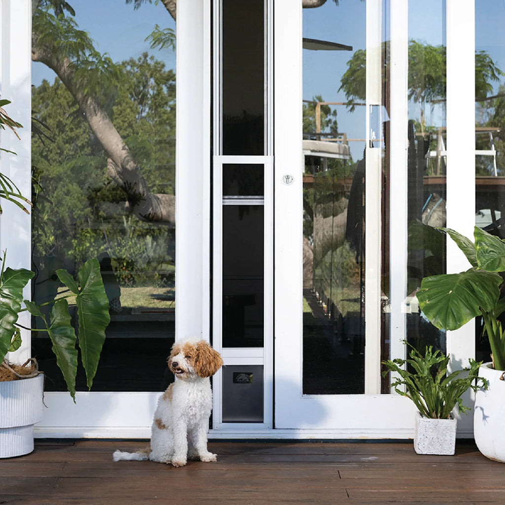 Patio Pet Door + Weather Resistant Panel