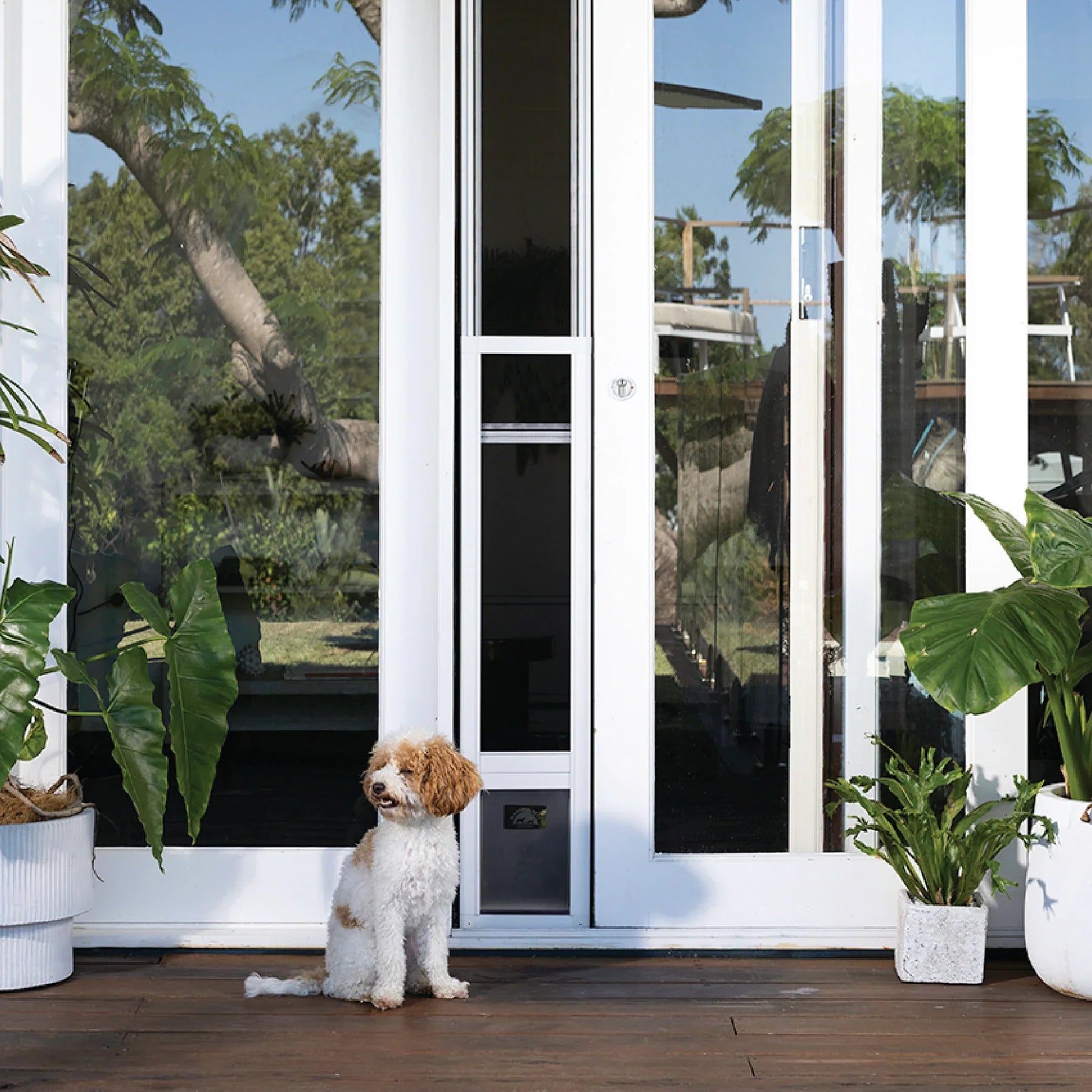 Patio Pet Door + Weather Resistant Panel