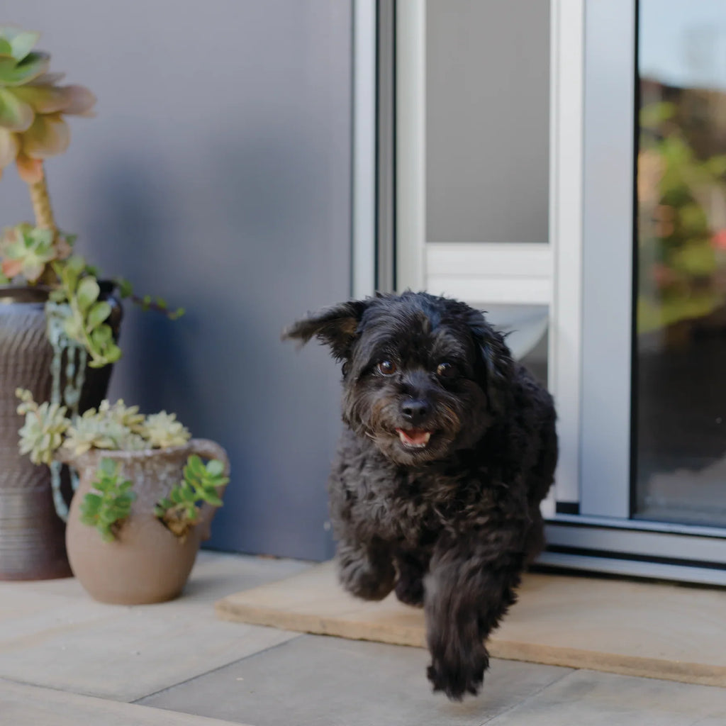Patio Pet Door + Weather Resistant Panel