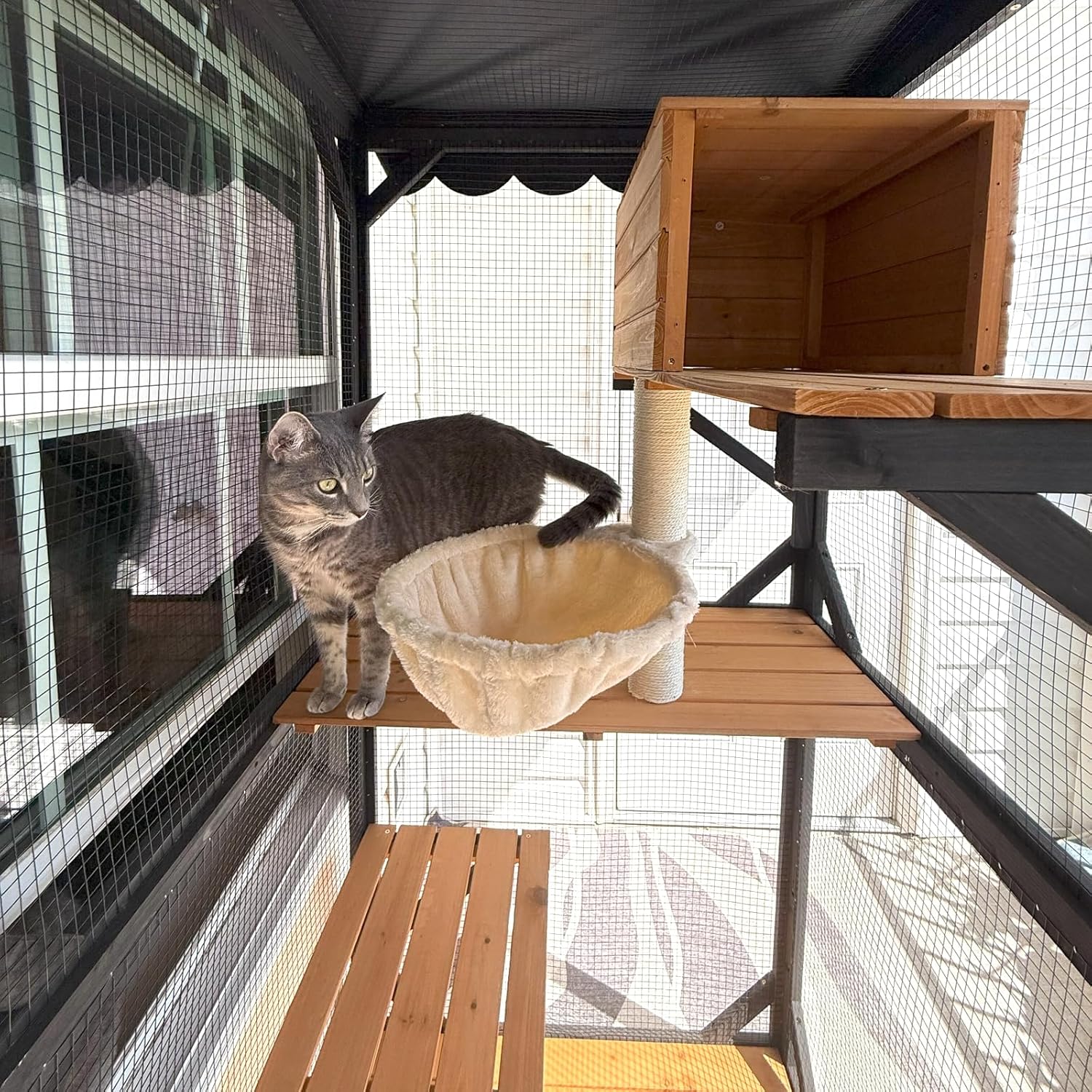 70.9" Waterproof Kitty House