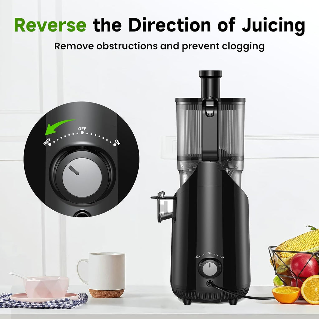 Cold Press Juicer EasyFruit + 10 Glass Bottles + Cleaning Kit